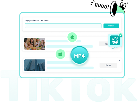 Download Video via VideoHunter TikTok Downloader