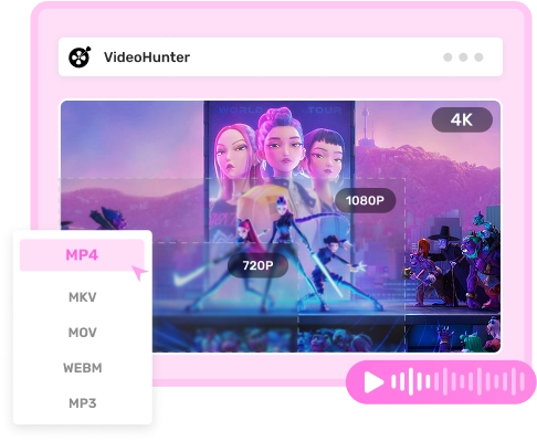 Mainstream Format and HD/ 4K Quality Support