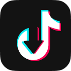 VideoHunter TikTok ダウンローダーのユーザーガイド