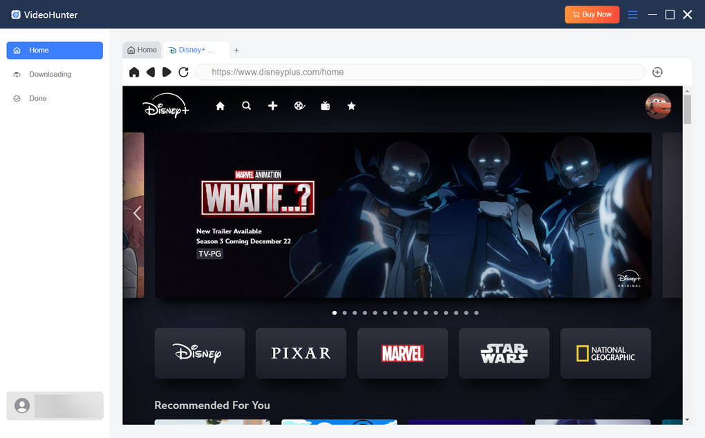 Search for Disney Plus Movies