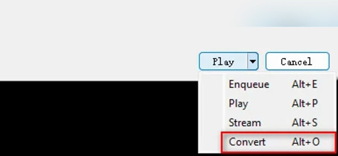 Choose Convert to Convert the Video 
