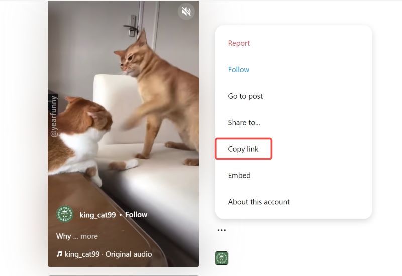 Copiez le lien vidéo Instagram pour télécharger